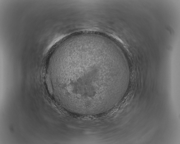 X0000115191255200911121815