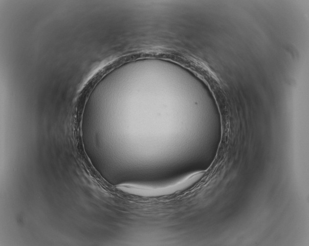 X0000115191256200911121815