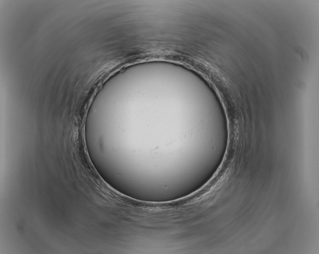 X0000115191257200911121815