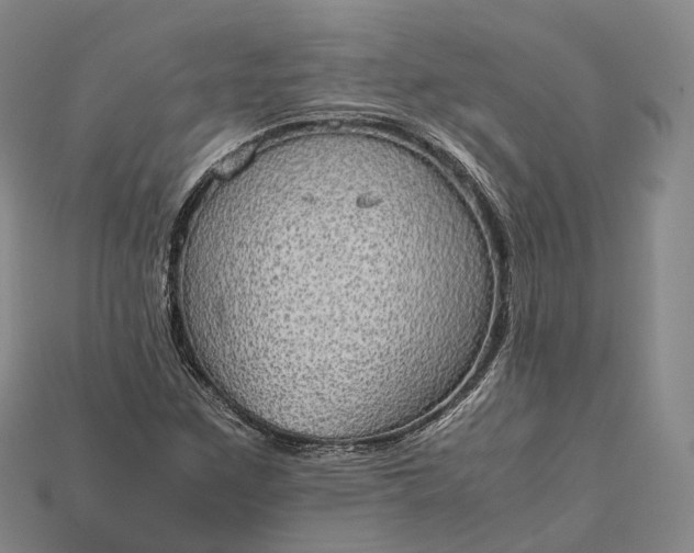 X0000115191259200911121815