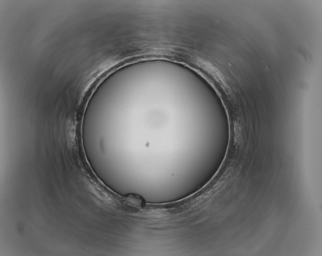 X0000115191260200911121815