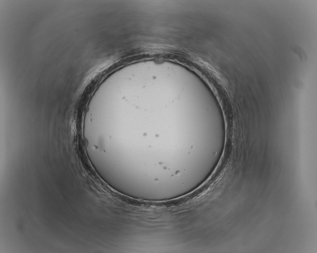 X0000115191261200911121815