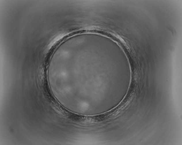 X0000115191263200911121815