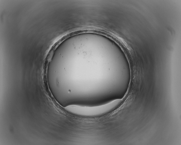 X0000115191264200911121815