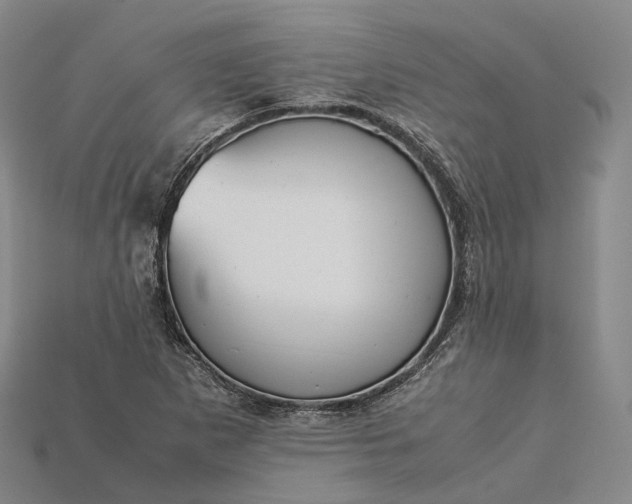 X0000115191265200911121815