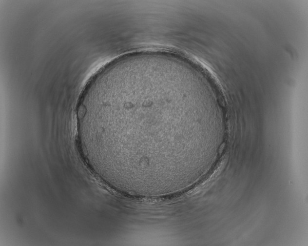 X0000115191267200911121815
