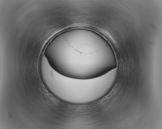 X0000115191268200911121815
