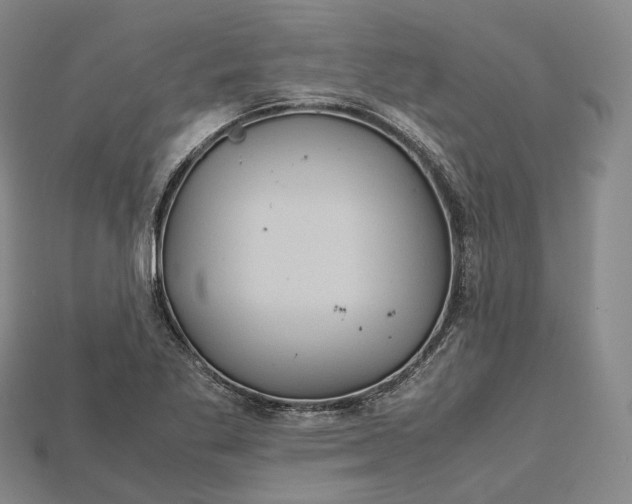 X0000115191269200911121815