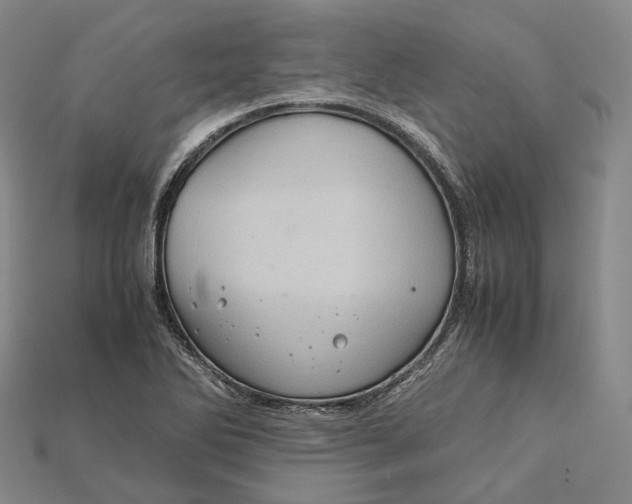 X0000115191270200911121815