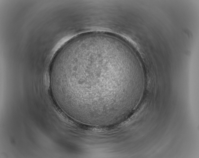 X0000115191271200911121815