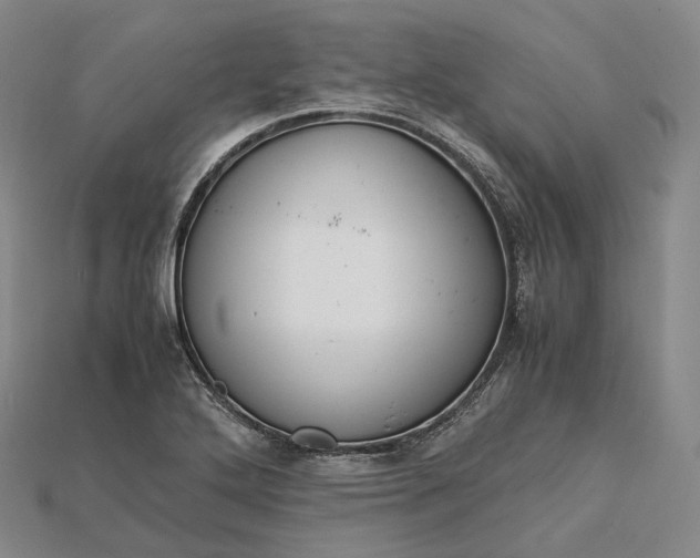X0000115191272200911121815