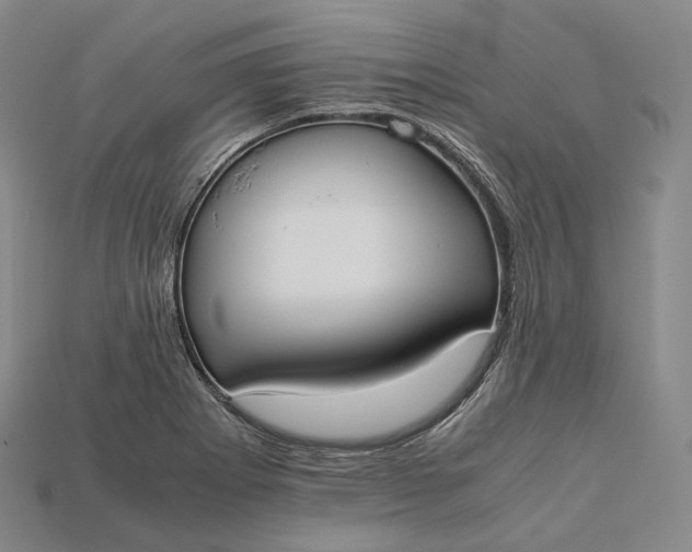 X0000115191273200911121815