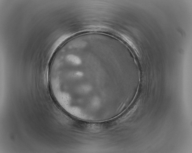 X0000115191275200911121815