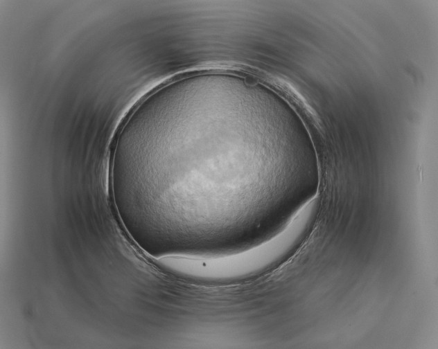 X0000115191276200911121815