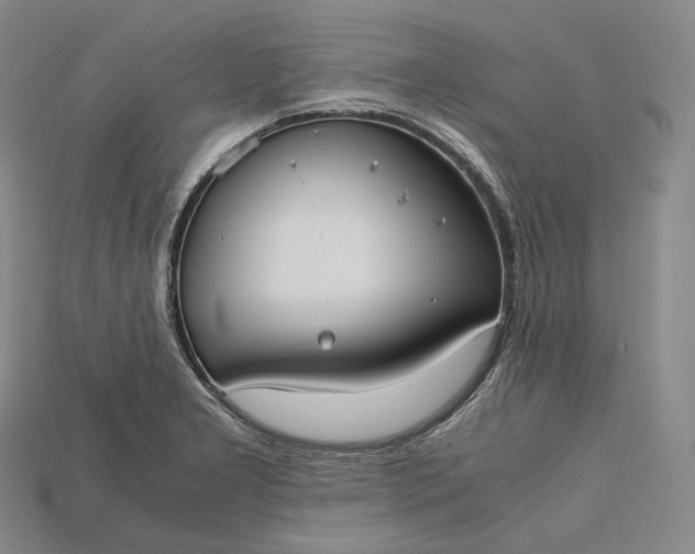 X0000115191277200911121814