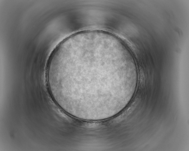 X0000115191278200911121814