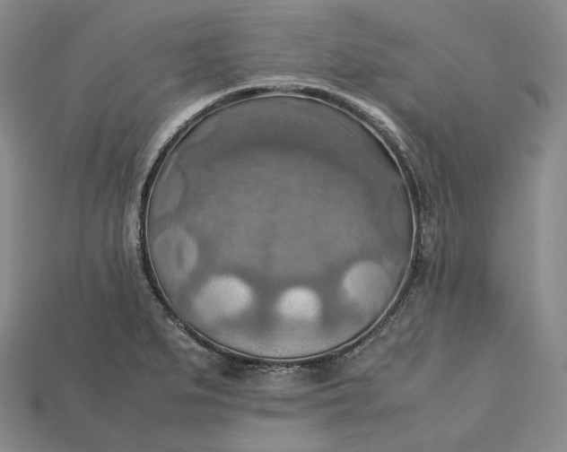 X0000115191279200911121814