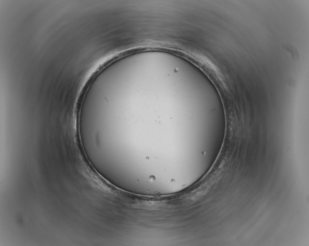 X0000115191280200911121814