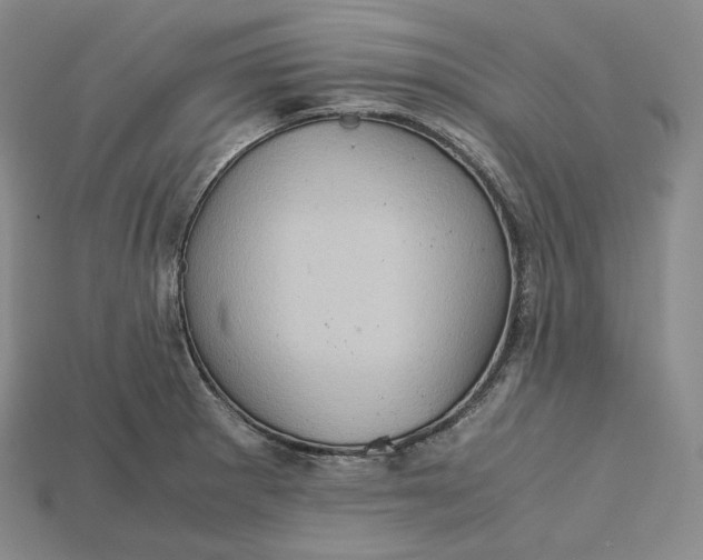 X0000115191281200911121814