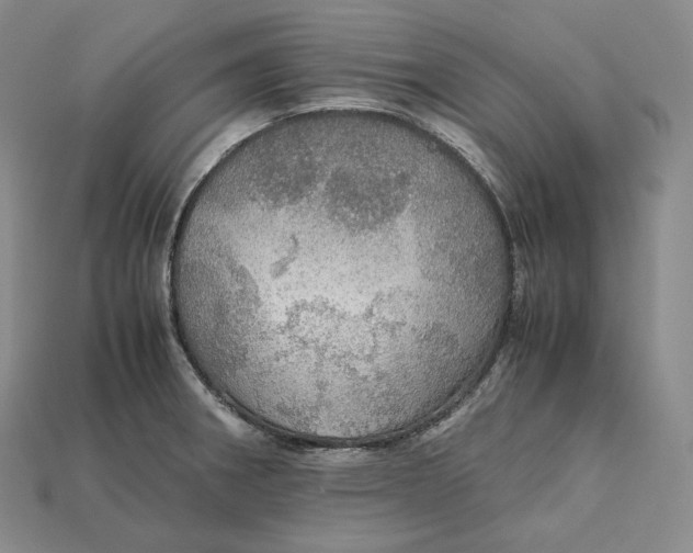 X0000115191282200911121814