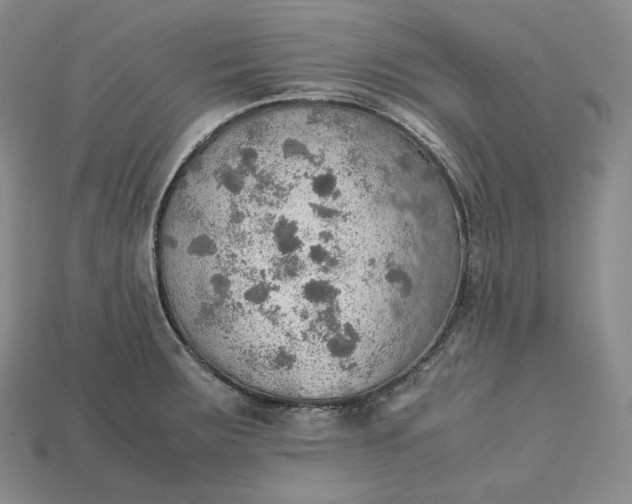 X0000115191283200911121814
