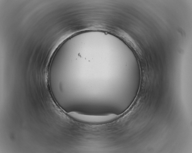 X0000115191284200911121814