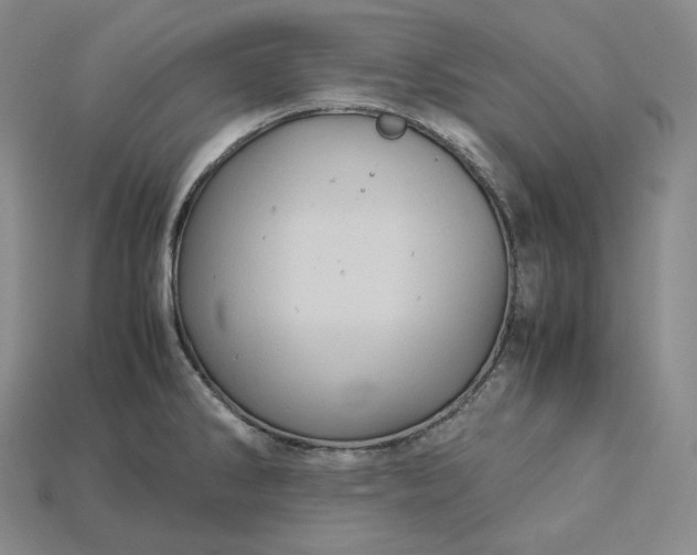 X0000115191286200911121814