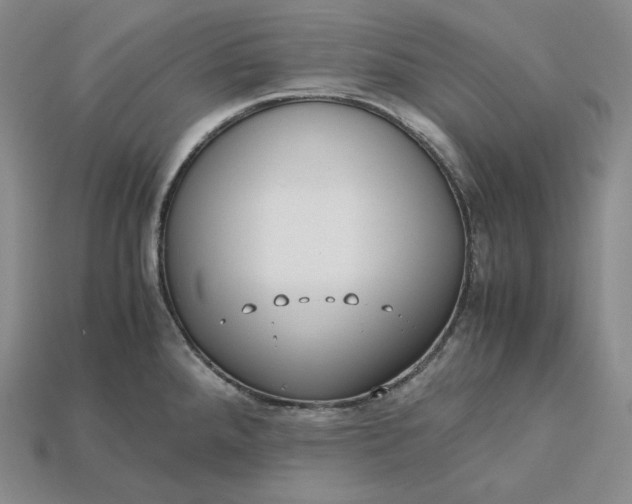 X0000115191288200911121814
