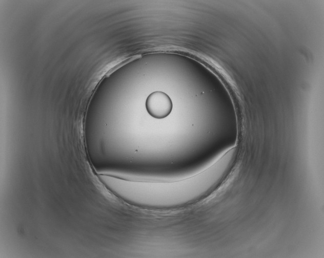 X0000115191289200911121814