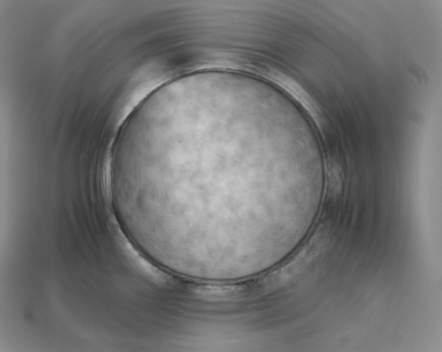 X0000115191290200911121814