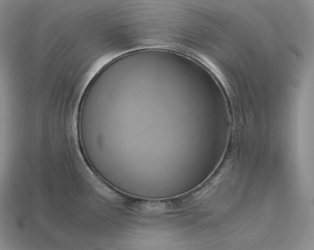 X0000115191291200911121814