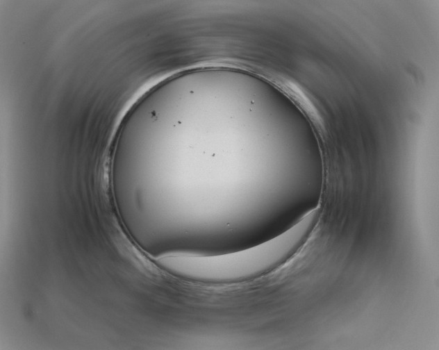 X0000115191292200911121814