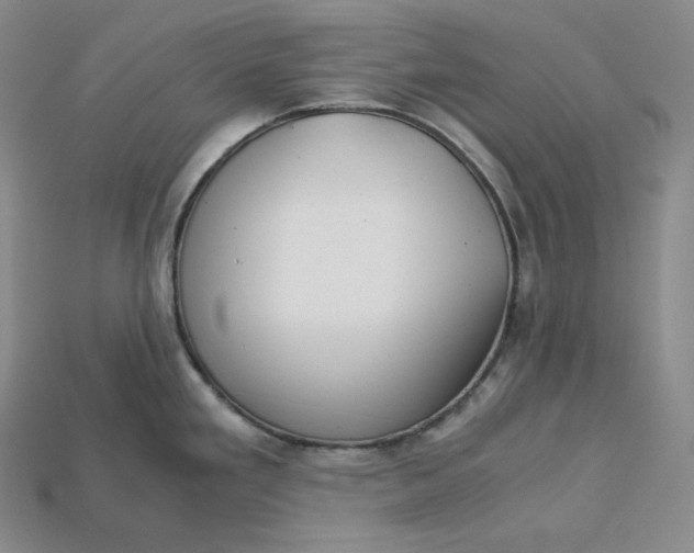 X0000115191293200911121814