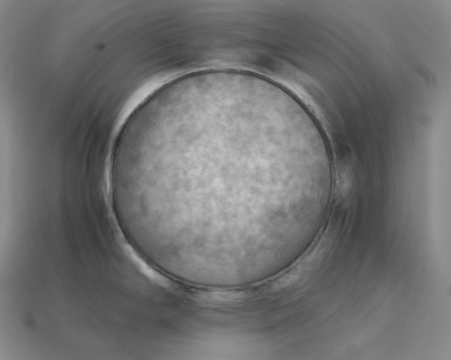 X0000115191294200911121814