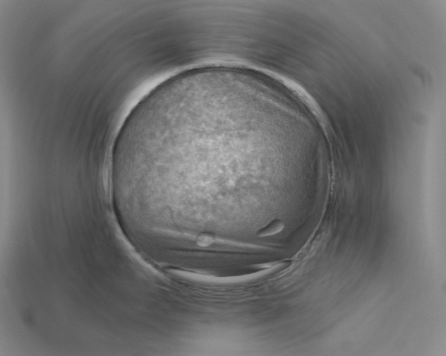 X0000115191295200911121814