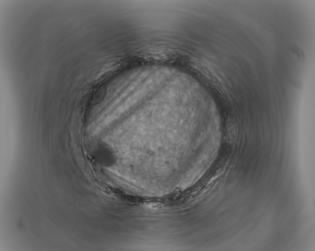 X0000115191297200911121814