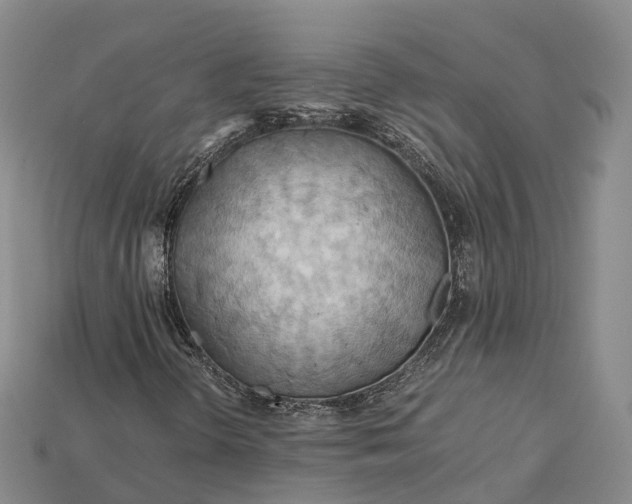 X0000115191298200911121814