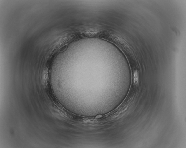 X0000115191299200911121814