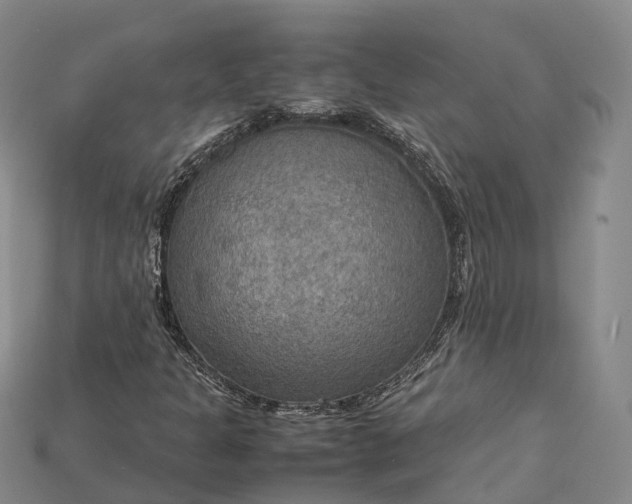 X0000115191301200911121814