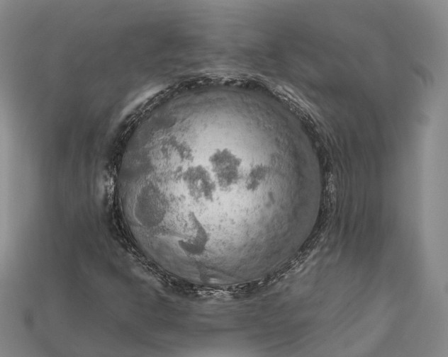 X0000115191302200911121814