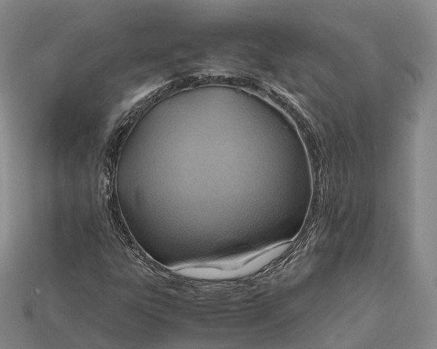 X0000115191303200911121814