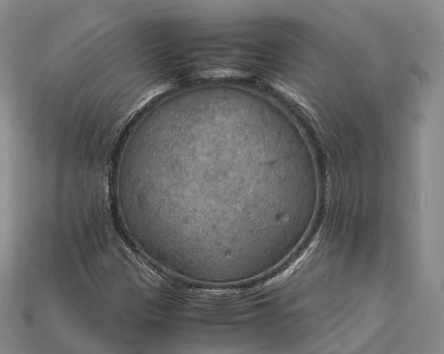 X0000115191305200911121814