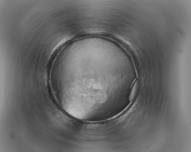 X0000115191306200911121814