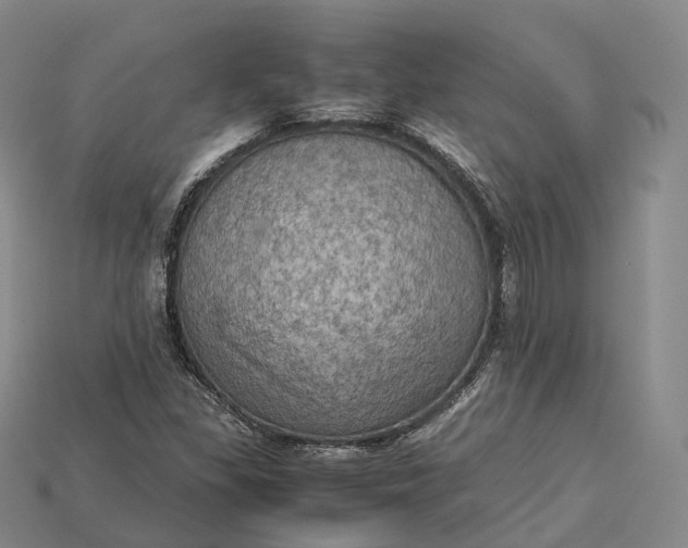 X0000115191309200911121814