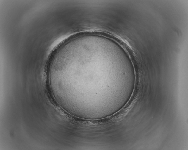 X0000115191311200911121814