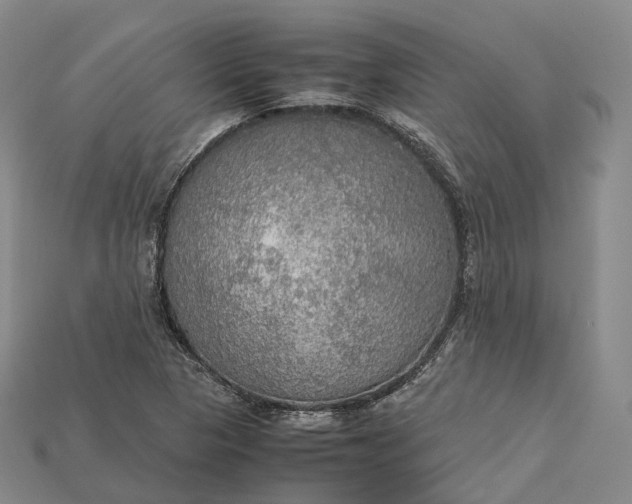 X0000115191313200911121814
