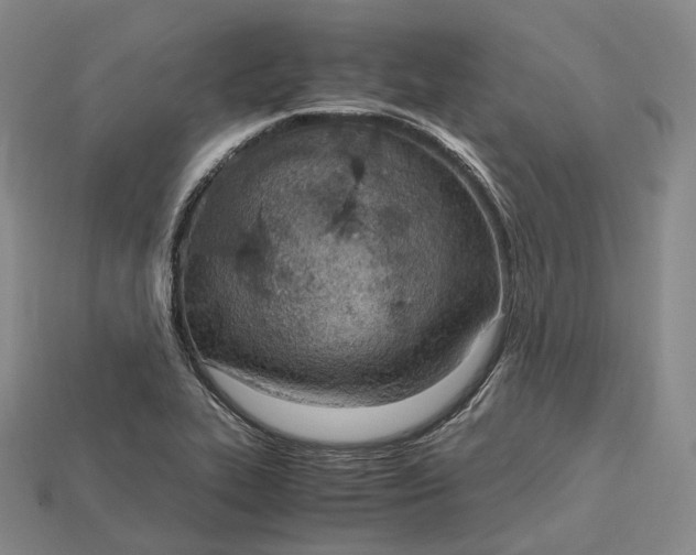 X0000115191319200911121814