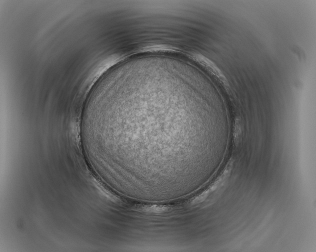 X0000115191321200911121814
