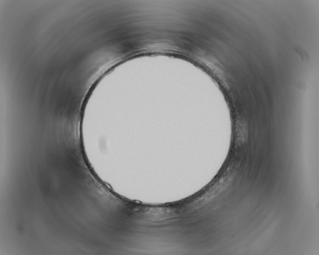X0000115191322200911121814