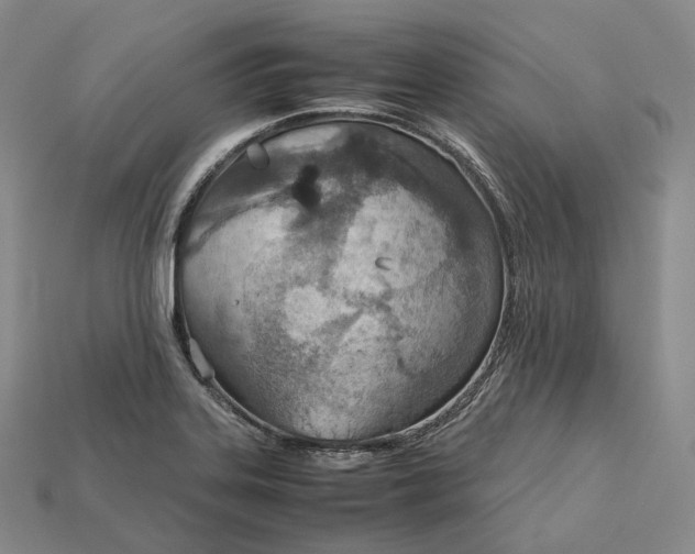 X0000115191323200911121814